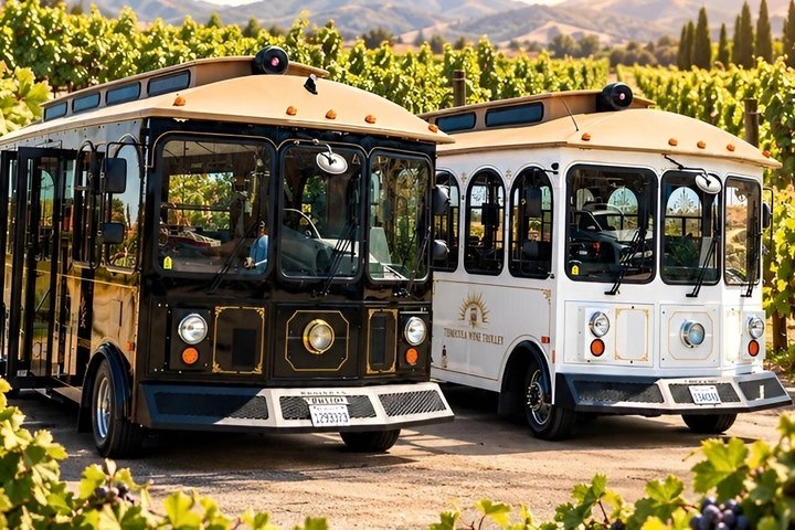Temecula Wine Tour - Temecula's only Luxury Trolleys! - Photo 1 of 25